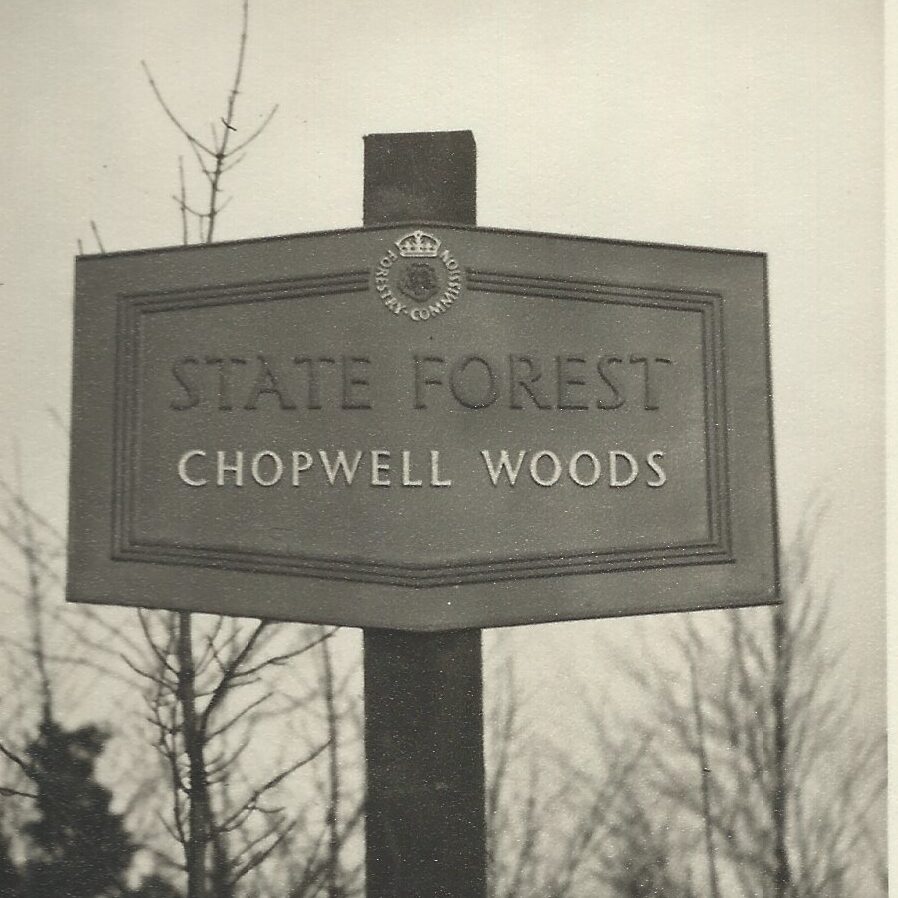 Chopwell Woods